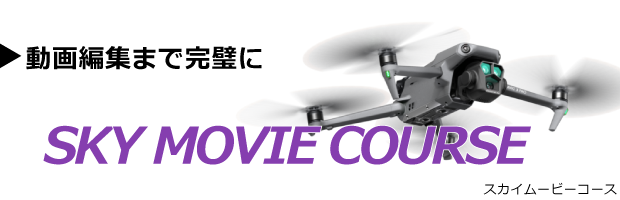 sky_movie-course-title